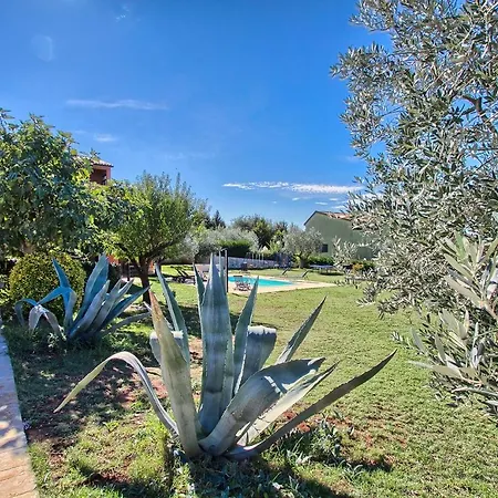 House Aldo * 班约勒